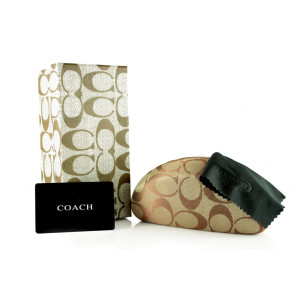 Модель Case Coach